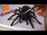 3D Spider Drawing/AMAZING realistic illusion! 3D Spider Drawing/AMAZING realistic illusion!