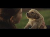 2014 Chevy Commercial - Maddie 2014 Chevy Commercial - Maddie