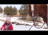 Emma and Cinnamon | Little Girl and Horse Are Best Friends Emma and Cinnamon | Little Girl and Horse Are Best Friends