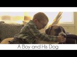 A Boy and His Dog A Boy and His Dog