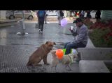 "I AM HERE" An Urban Intervention To Make The Invisible Visible PLEASE SHARE "I AM HERE" An Urban Intervention To Make The Invisible Visible PLEASE SHARE