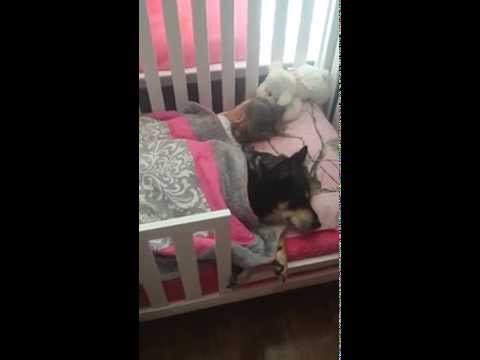 Mama findet ihr Baby und ihren Hund schlafend im Bett Mama findet ihr Baby und ihren Hund schlafend im Bett