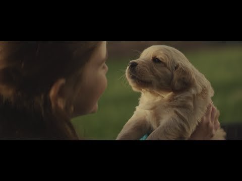 2014 Chevy Commercial - Maddie 2014 Chevy Commercial - Maddie