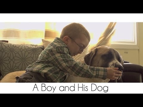 A Boy and His Dog A Boy and His Dog