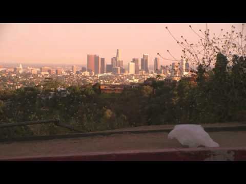 The Majestic Plastic Bag - A Mockumentary The Majestic Plastic Bag - A Mockumentary