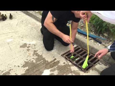 Man saves ducklings!!! Man saves ducklings!!!